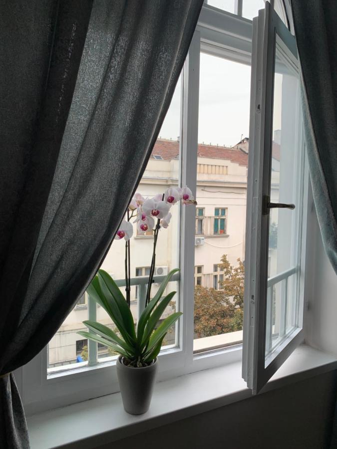 Dragonfly Residence Beograd Ngoại thất bức ảnh